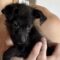 Bitsy