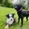 Betty (and Sophie)