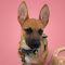 Zoey