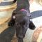 Wilma