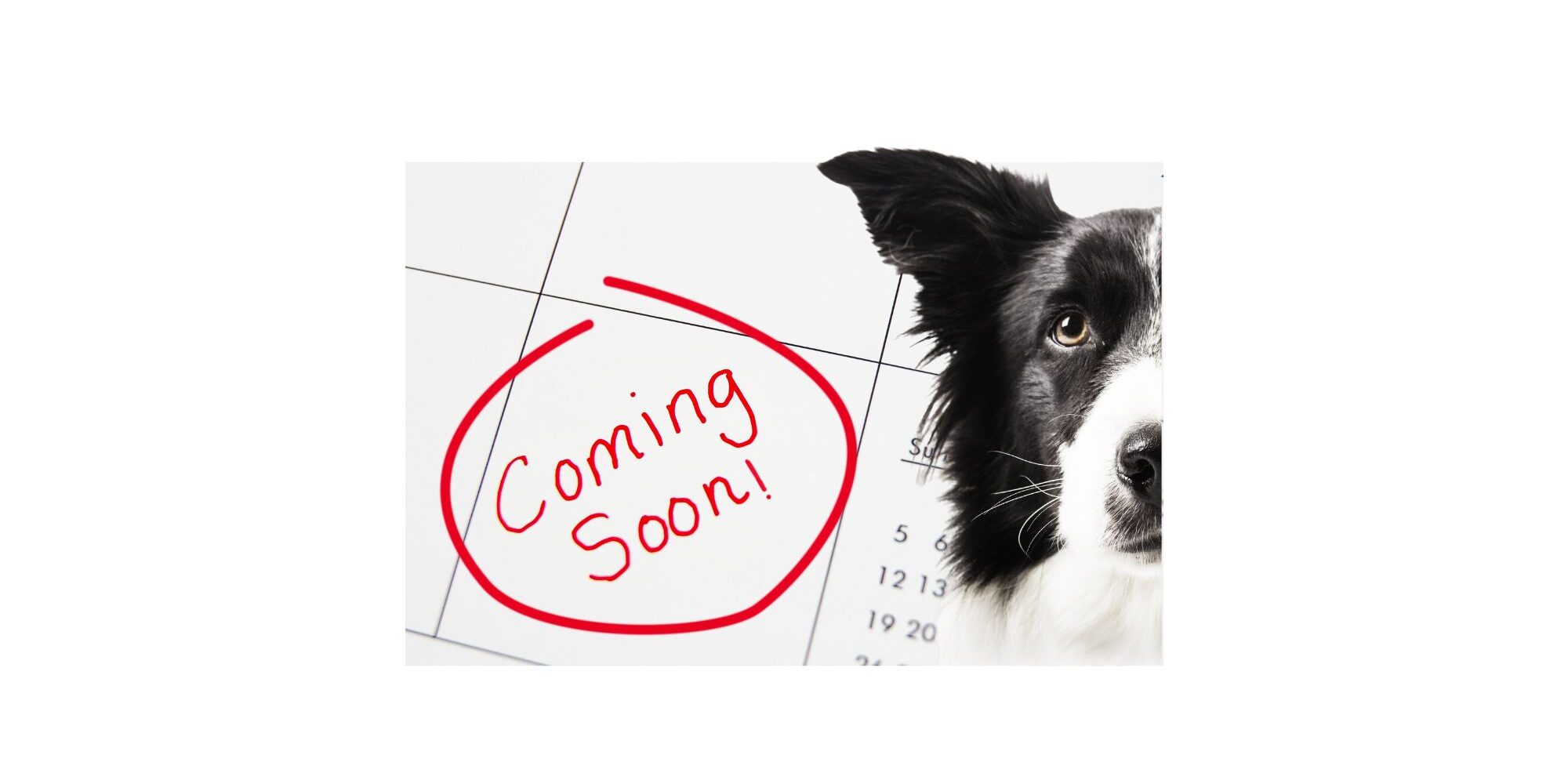 coming soon (7.5 x 6 in) (7 x 4 in)
